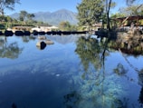 A calm, clear pond reflects the surrounding trees and distant mountains under a blue sky. There are several rocks scattered along the pond's edge, and lush greenery surrounds the area. In the background, a structure with a thatched roof is partially visible.