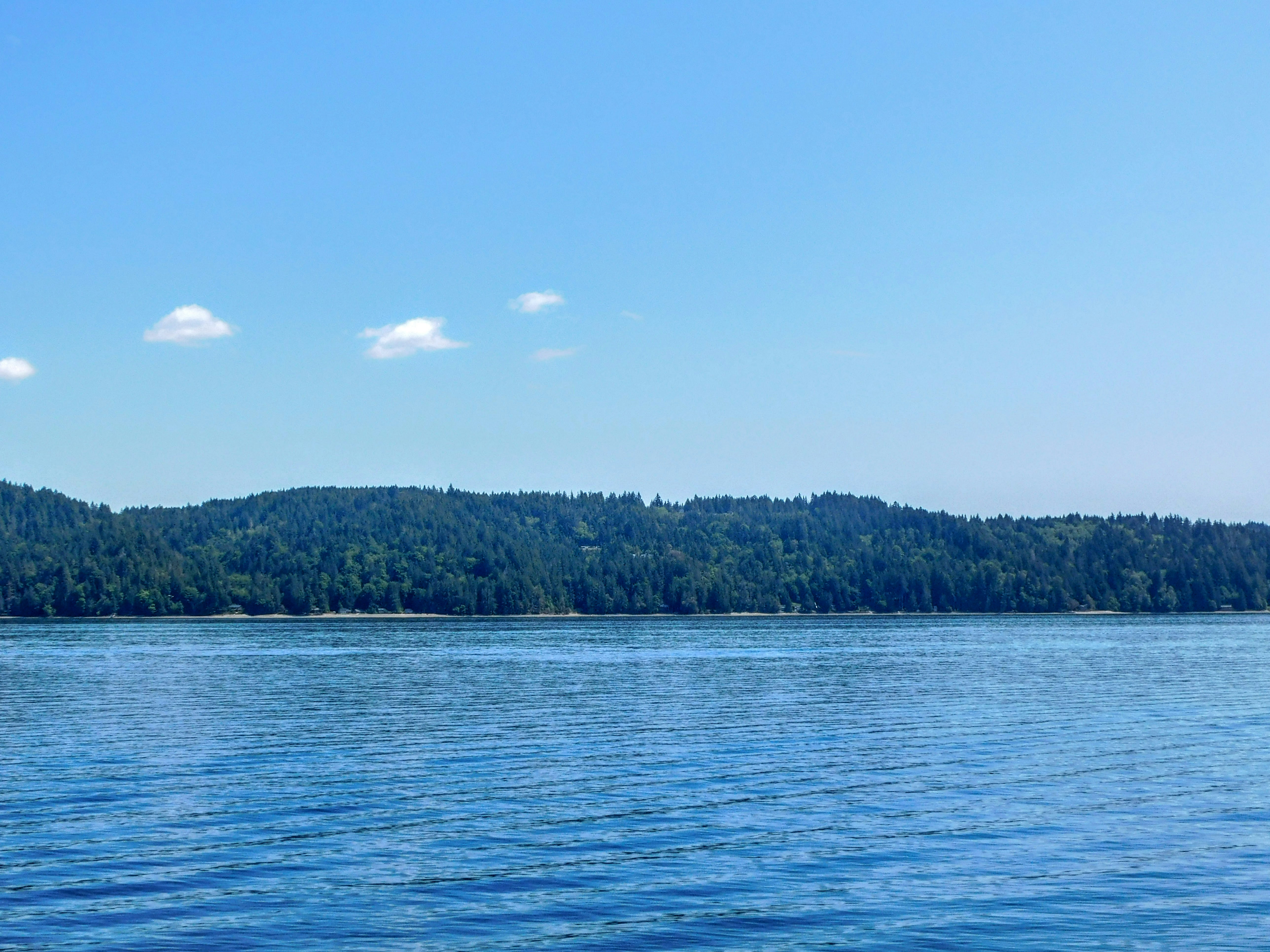 Photo by prphotography262