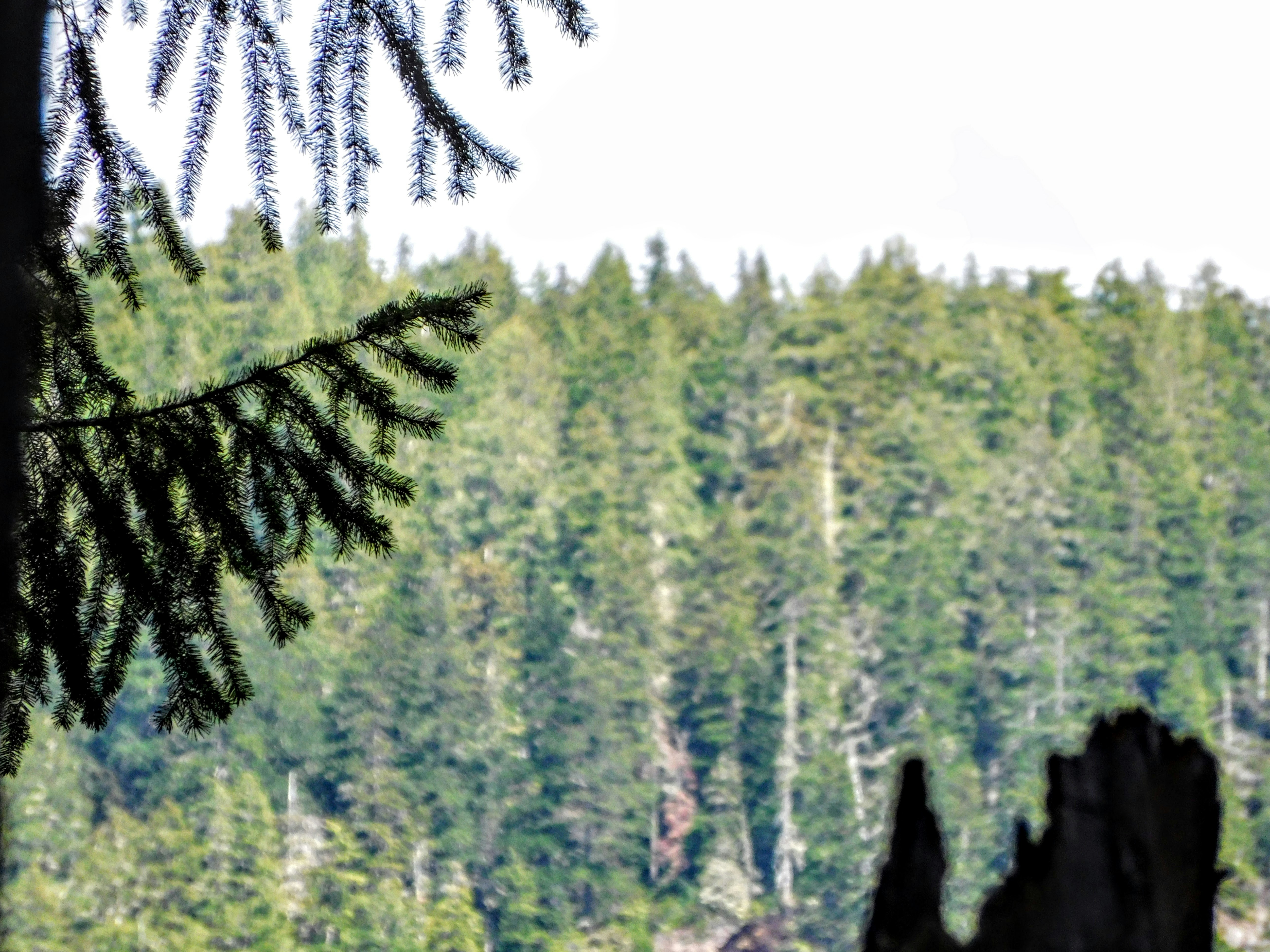 Photo by prphotography262