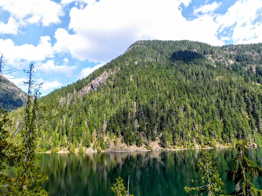 a mountain with a lake surrounded by trees