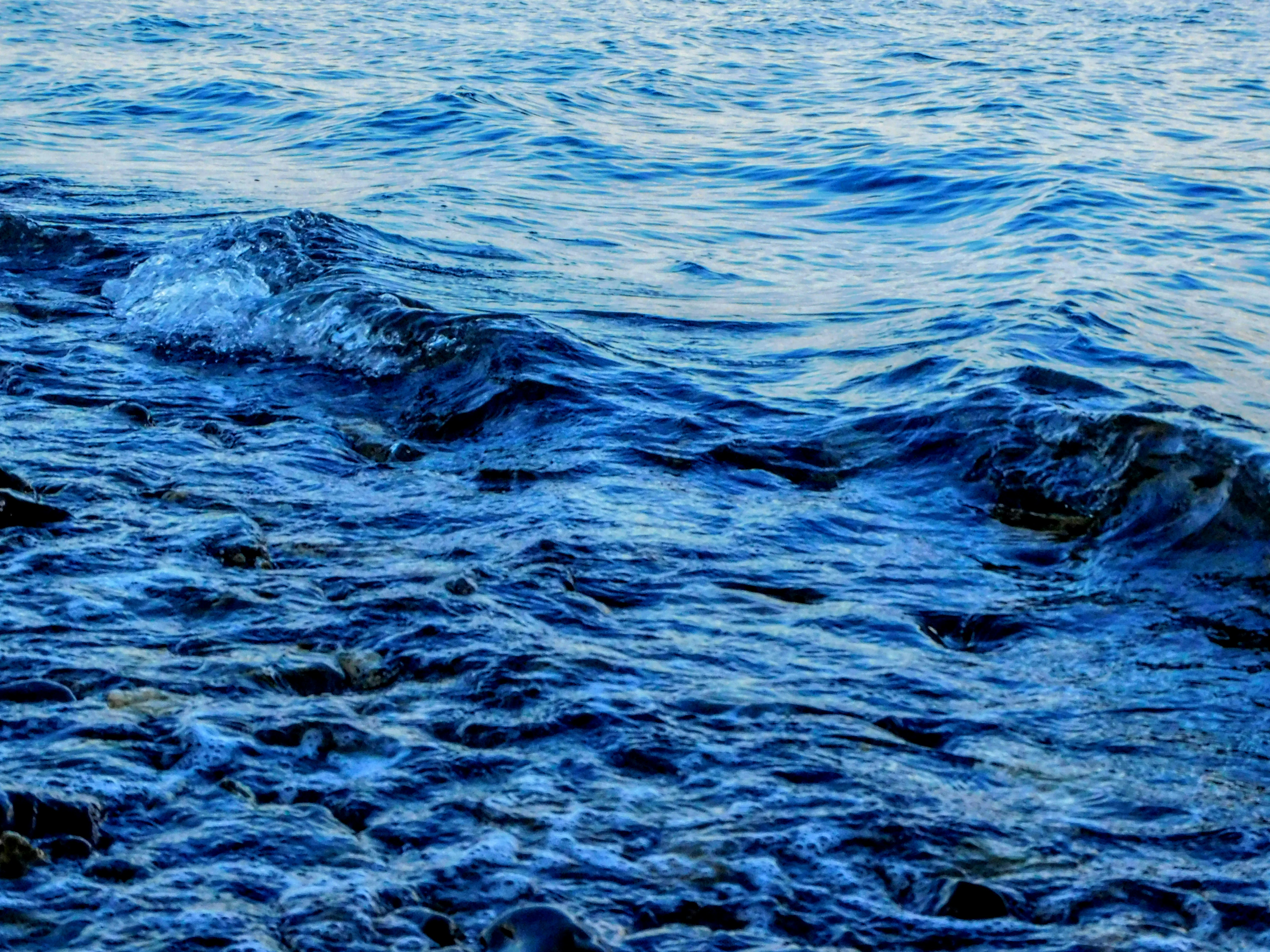 Photo by prphotography262