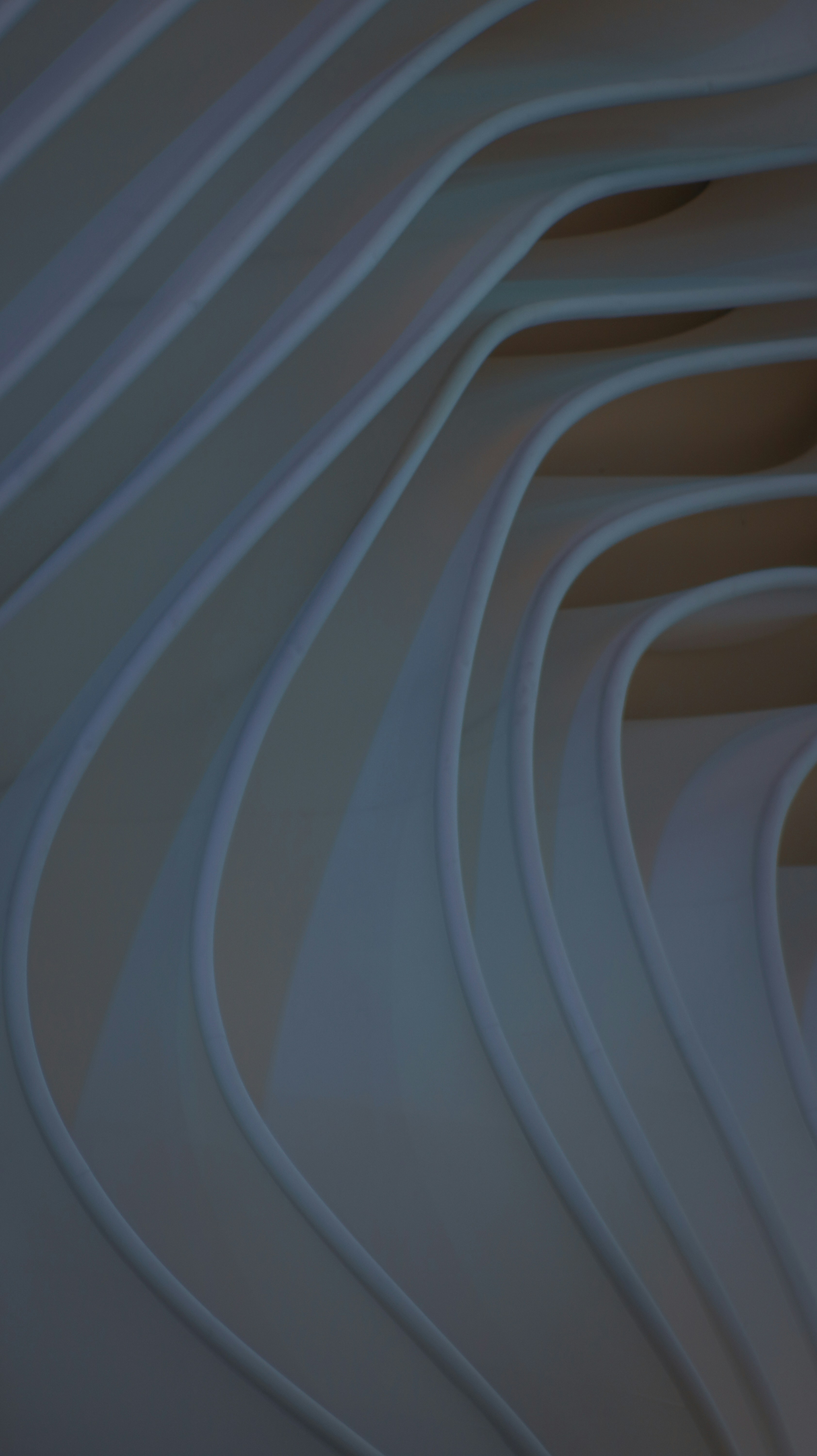 Photo by heberdavisphotography