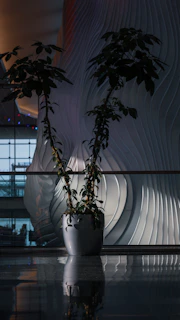Decorative details showcasing plants and personal touches in the apartment