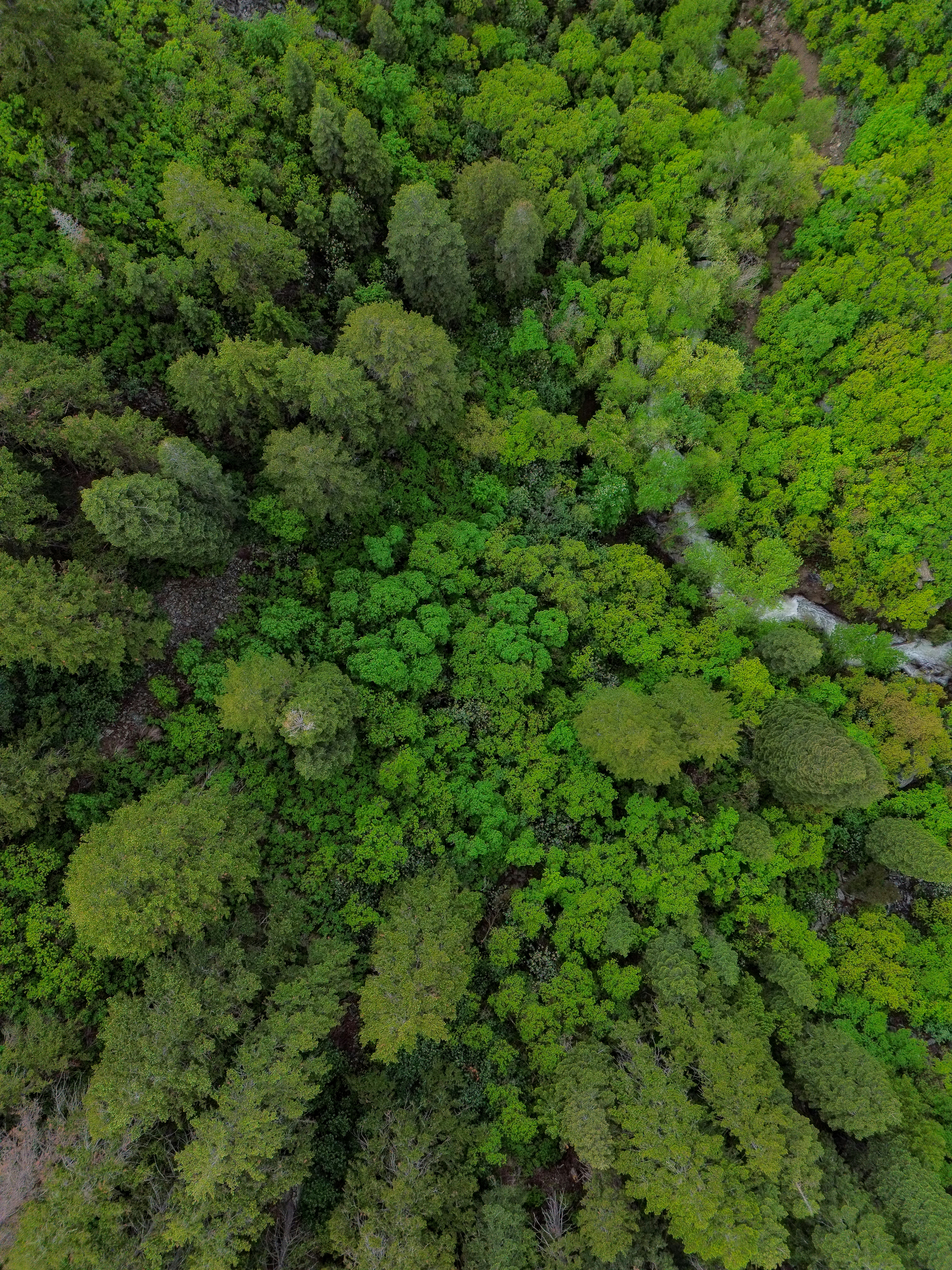 Photo by heberdavisphotography