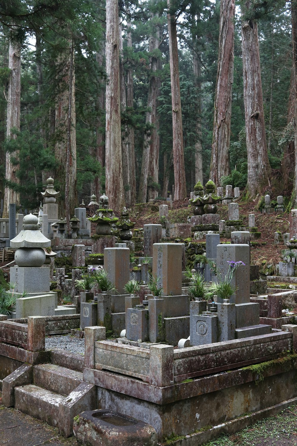 a cemetery with many headstones and trees in the background