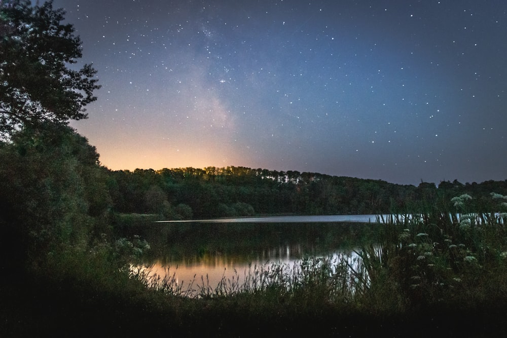 a lake surrounded by a forest under a night sky