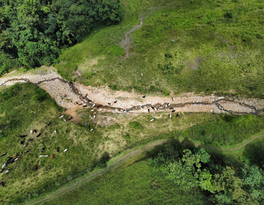 an aerial view of a dirt road in the middle of a green field