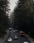 A two-lane road surrounded by tall evergreen trees, with several vehicles, including a school bus, cars, and a van, traveling along it. Traffic lights are visible in the distance amidst the forest setting.