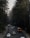 A two-lane road surrounded by tall evergreen trees, with several vehicles, including a school bus, cars, and a van, traveling along it. Traffic lights are visible in the distance amidst the forest setting.