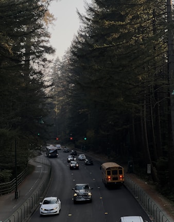 A two-lane road surrounded by tall evergreen trees, with several vehicles, including a school bus, cars, and a van, traveling along it. Traffic lights are visible in the distance amidst the forest setting.