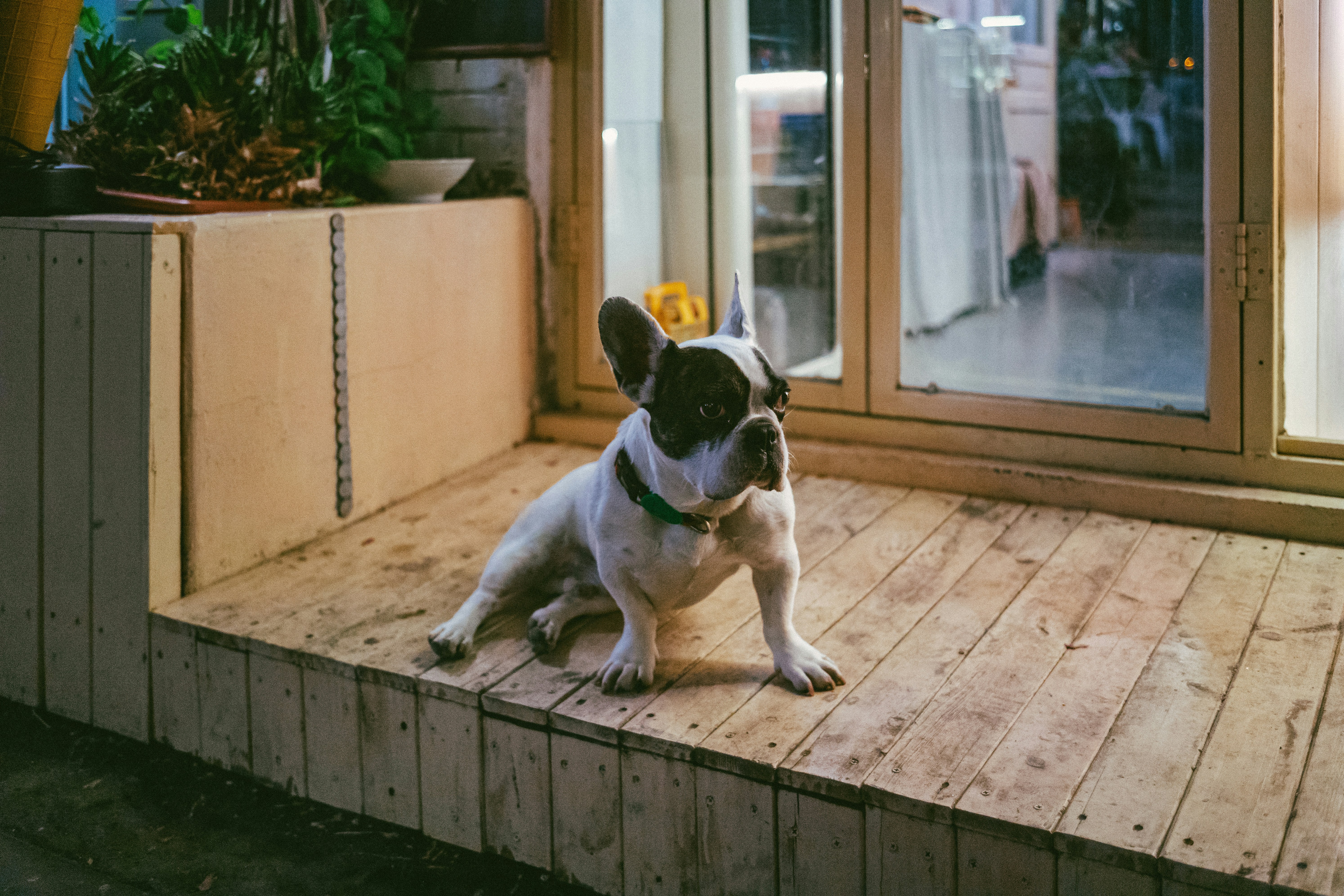 Photo by tommaomaoer