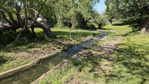 A tranquil stream flowing gently through a lush green landscape.