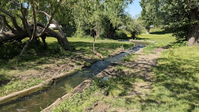 A tranquil stream flowing gently through a lush green landscape.