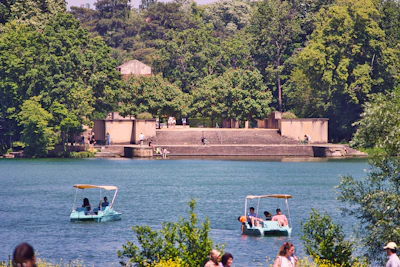 Families laughing and riding pedalos near the water's edge surrounded by lush greenery.