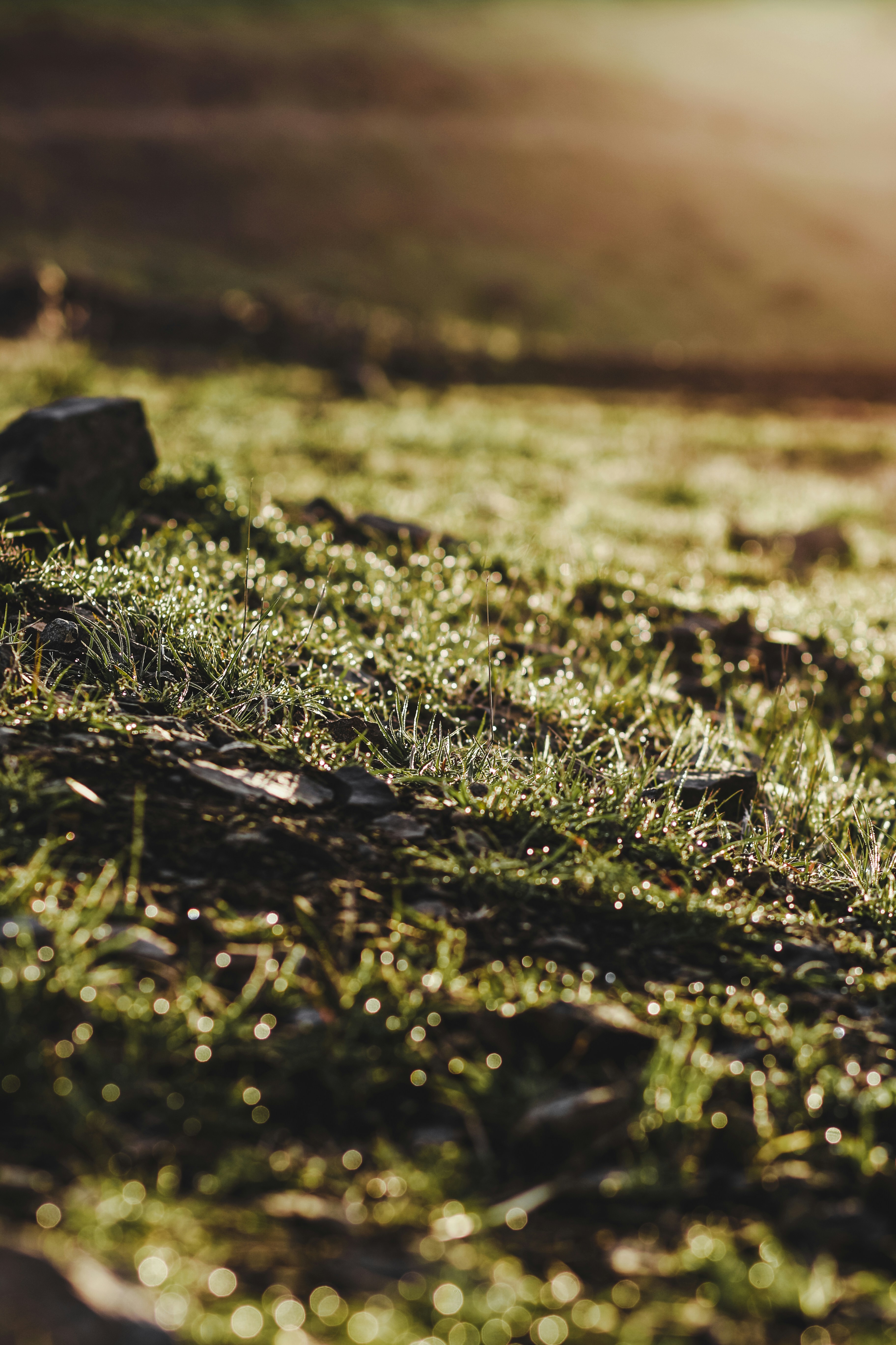 Photo by taralahroudy