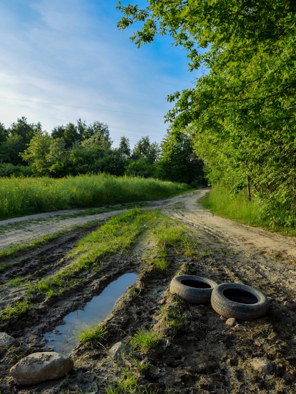 Premium Quality Tires