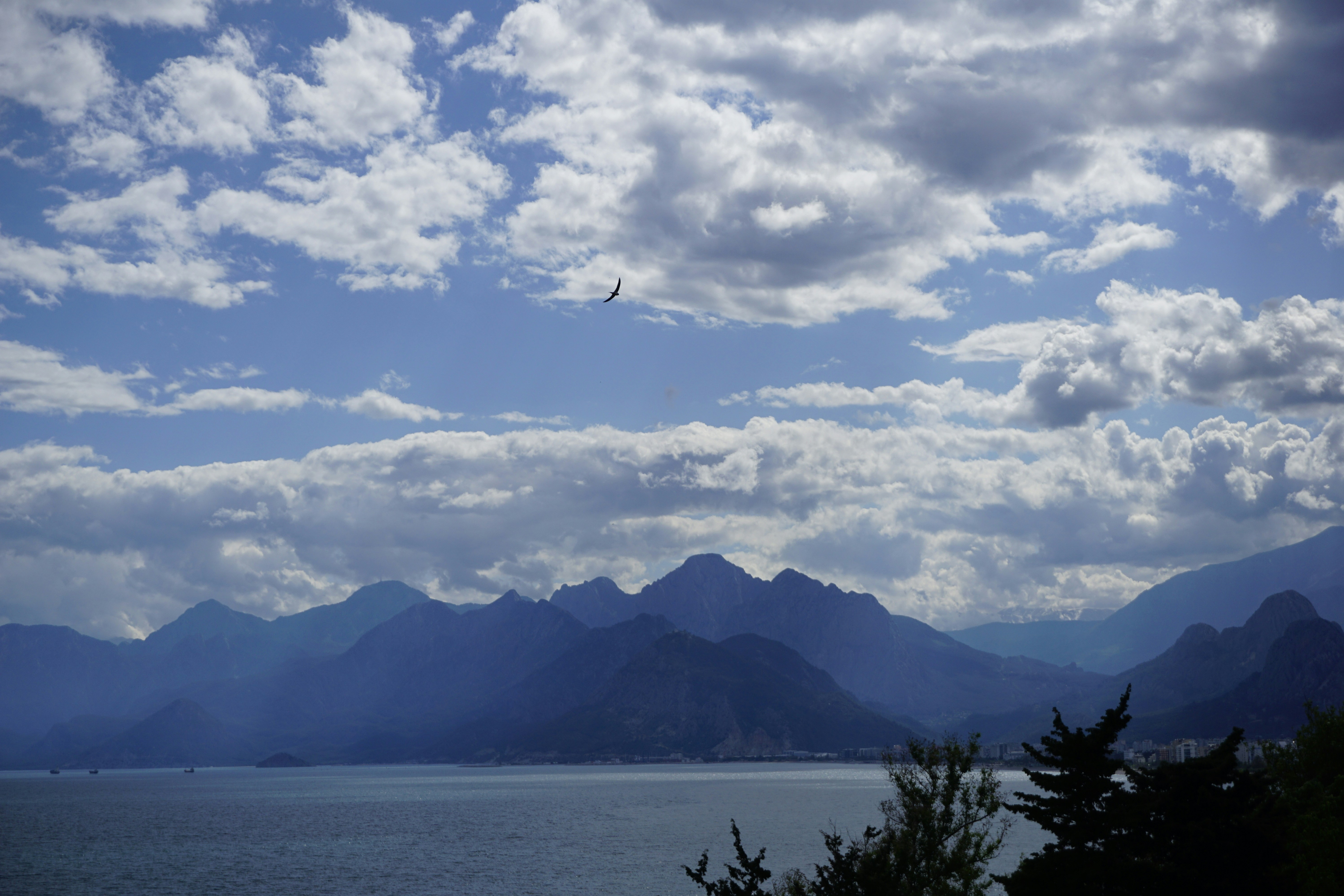 a bird flying over a body of water with mountains in the background, 