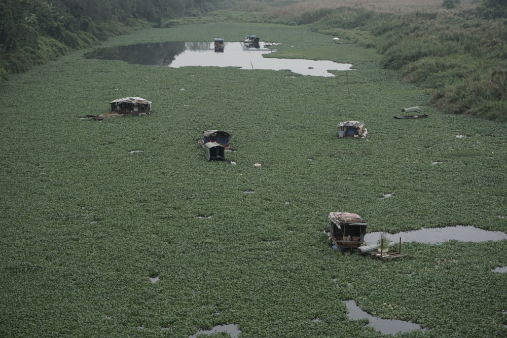 eine Gruppe von Booten, die auf einem üppig grünen Fluss schwimmen