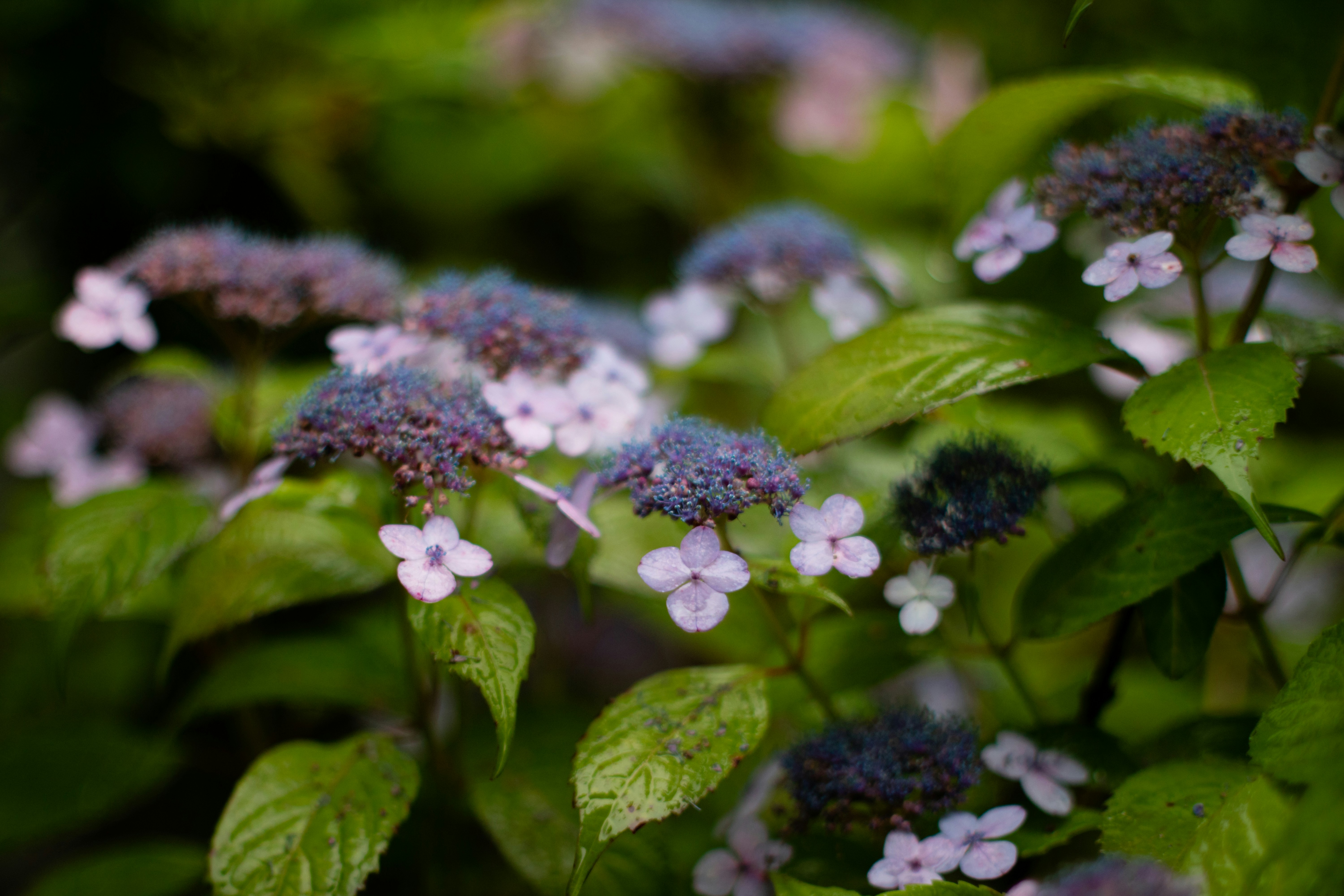 Photo by takatsuchida