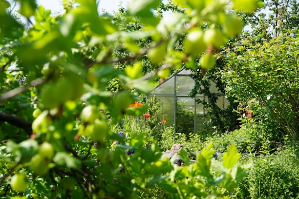a greenhouse surrounded by trees and bushes