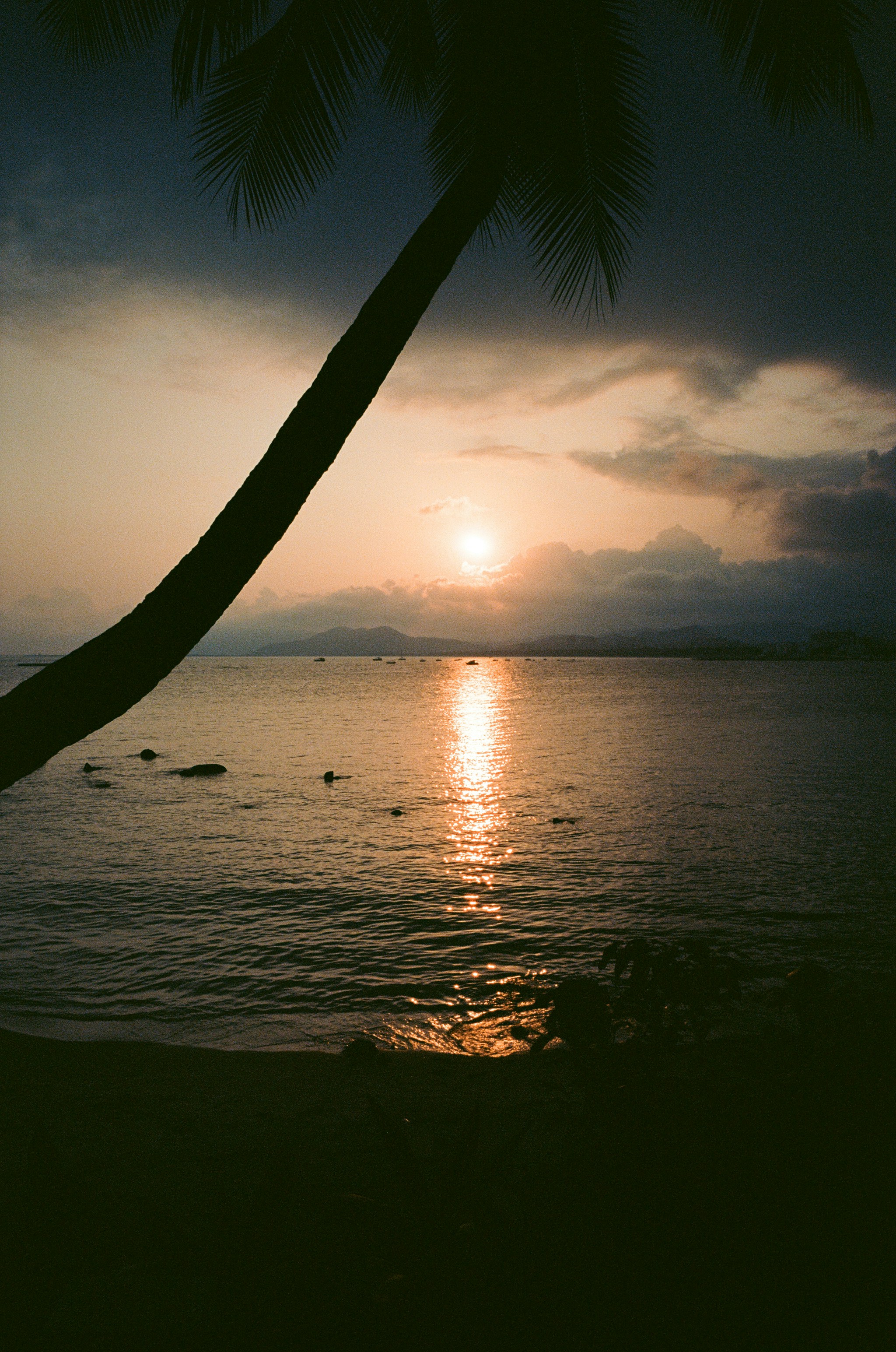Photo by gaoryrt