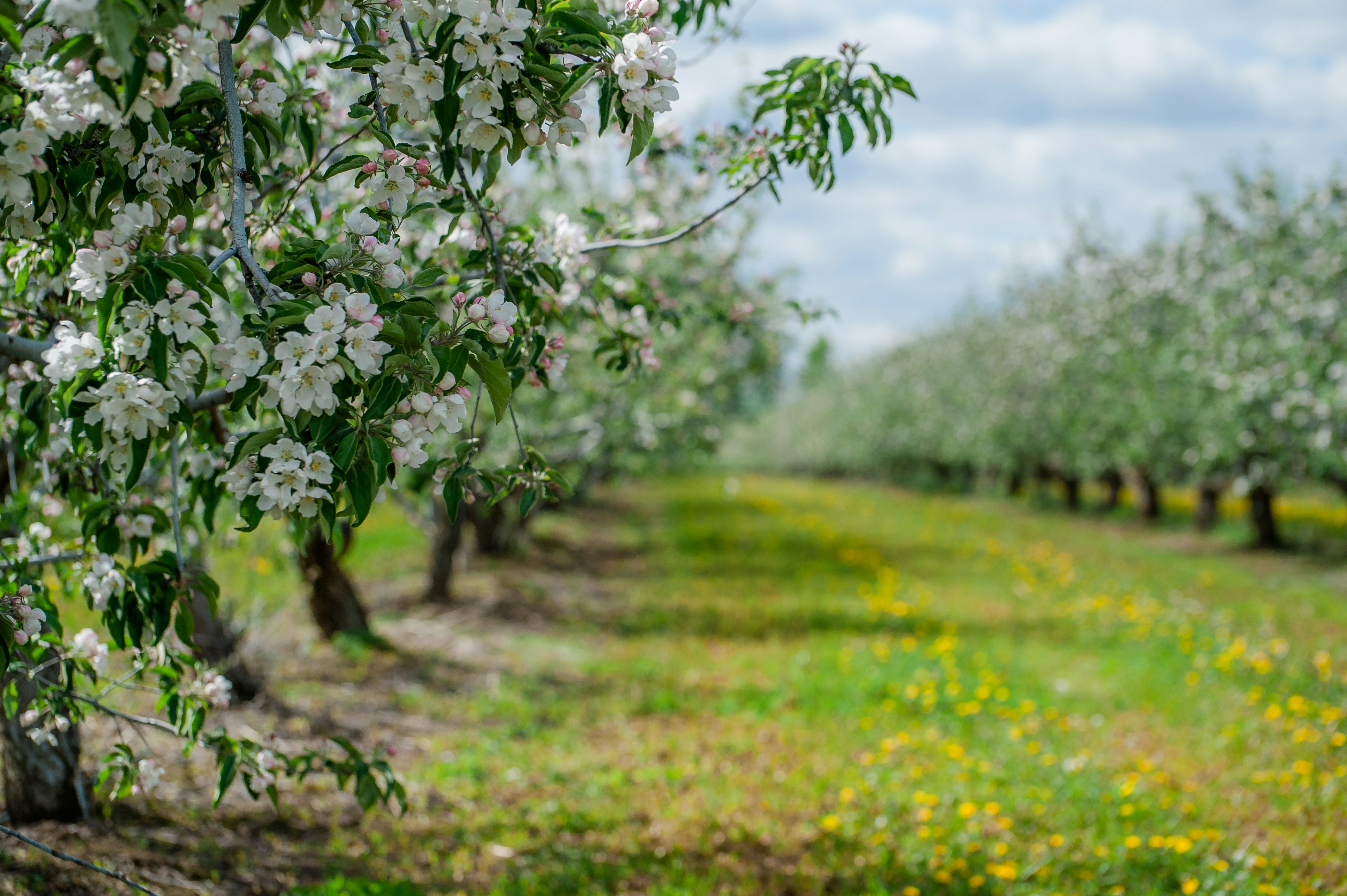 Photo by lipetskaya_zemlya