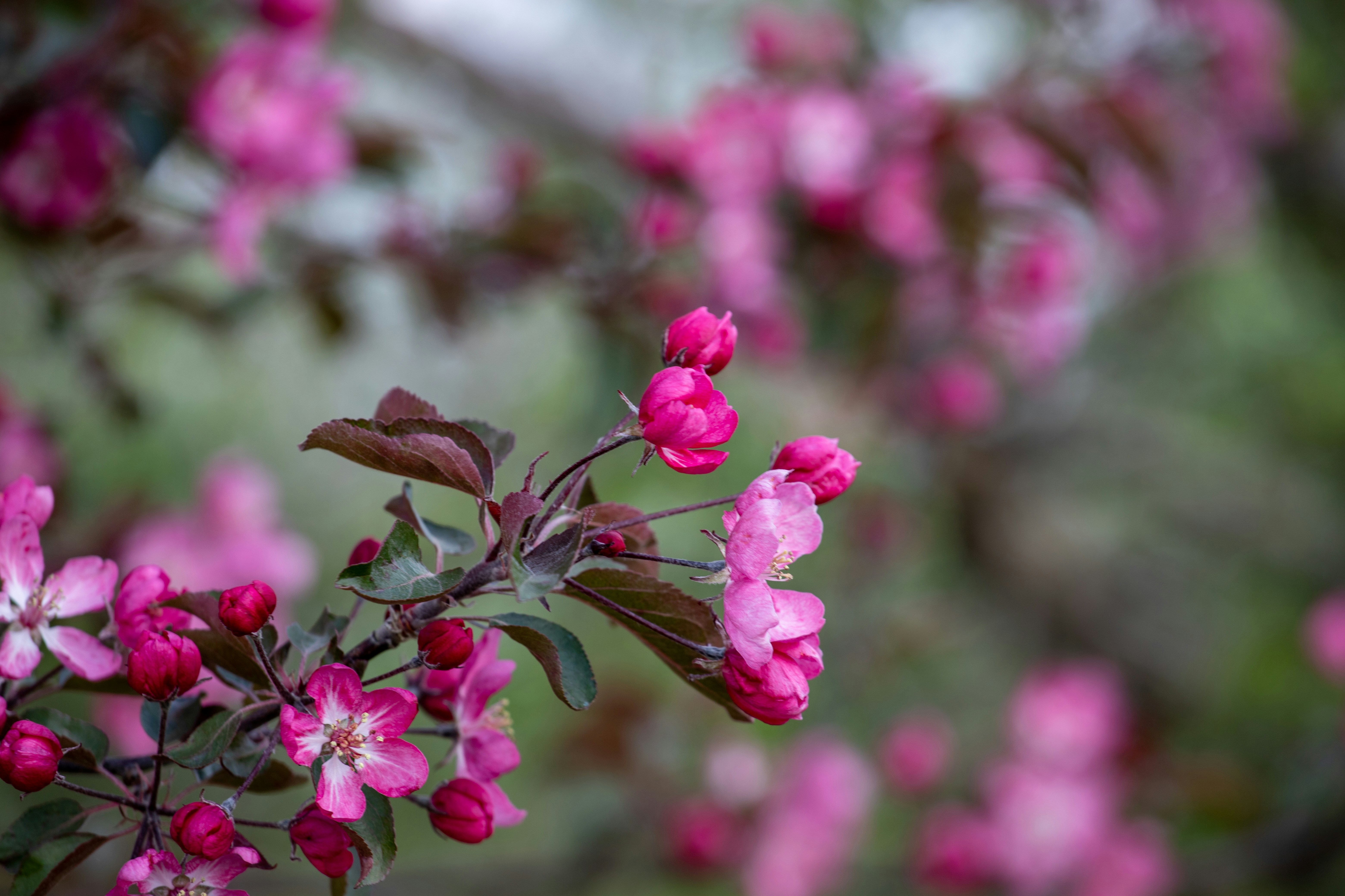 Photo by lipetskaya_zemlya