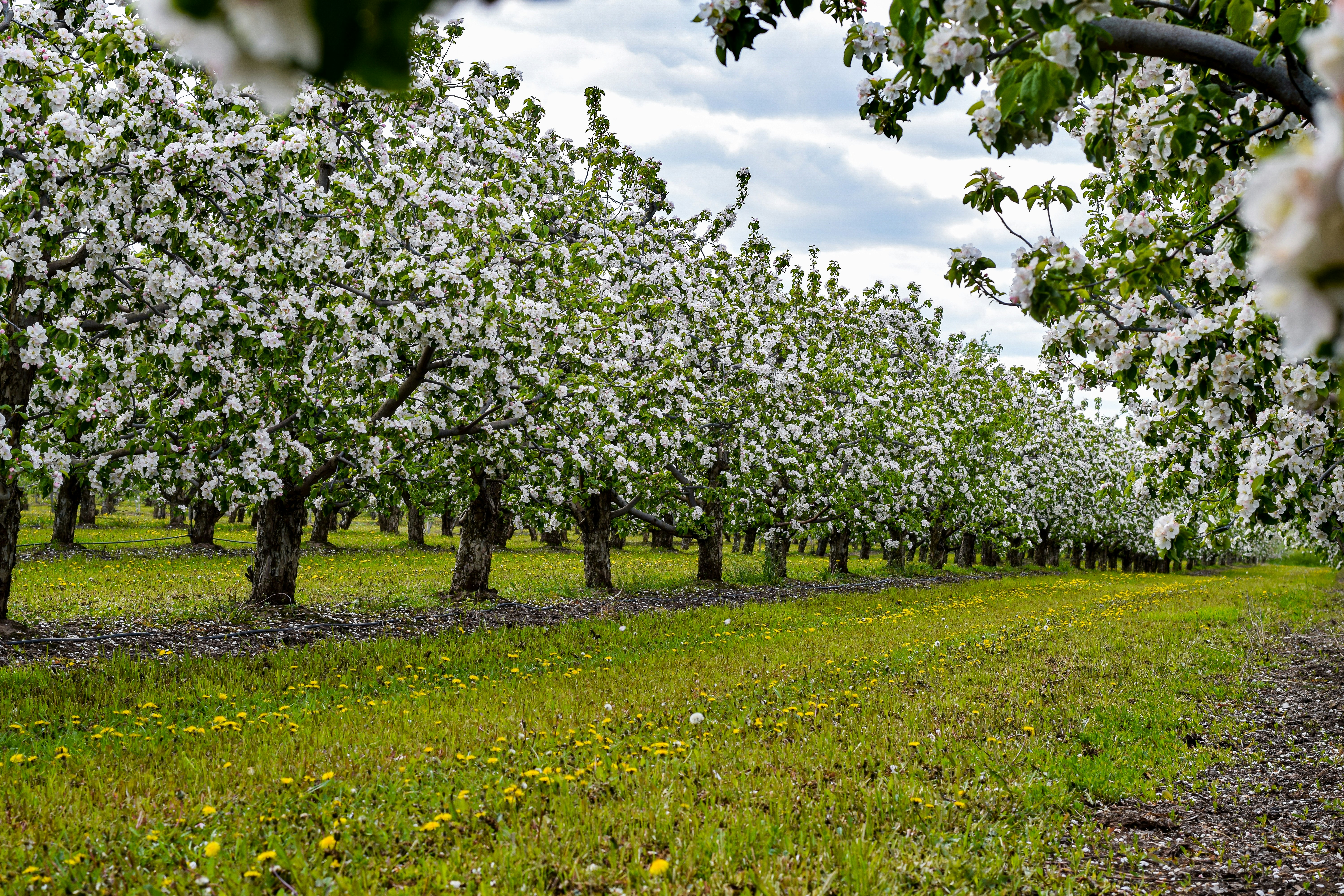 Photo by lipetskaya_zemlya