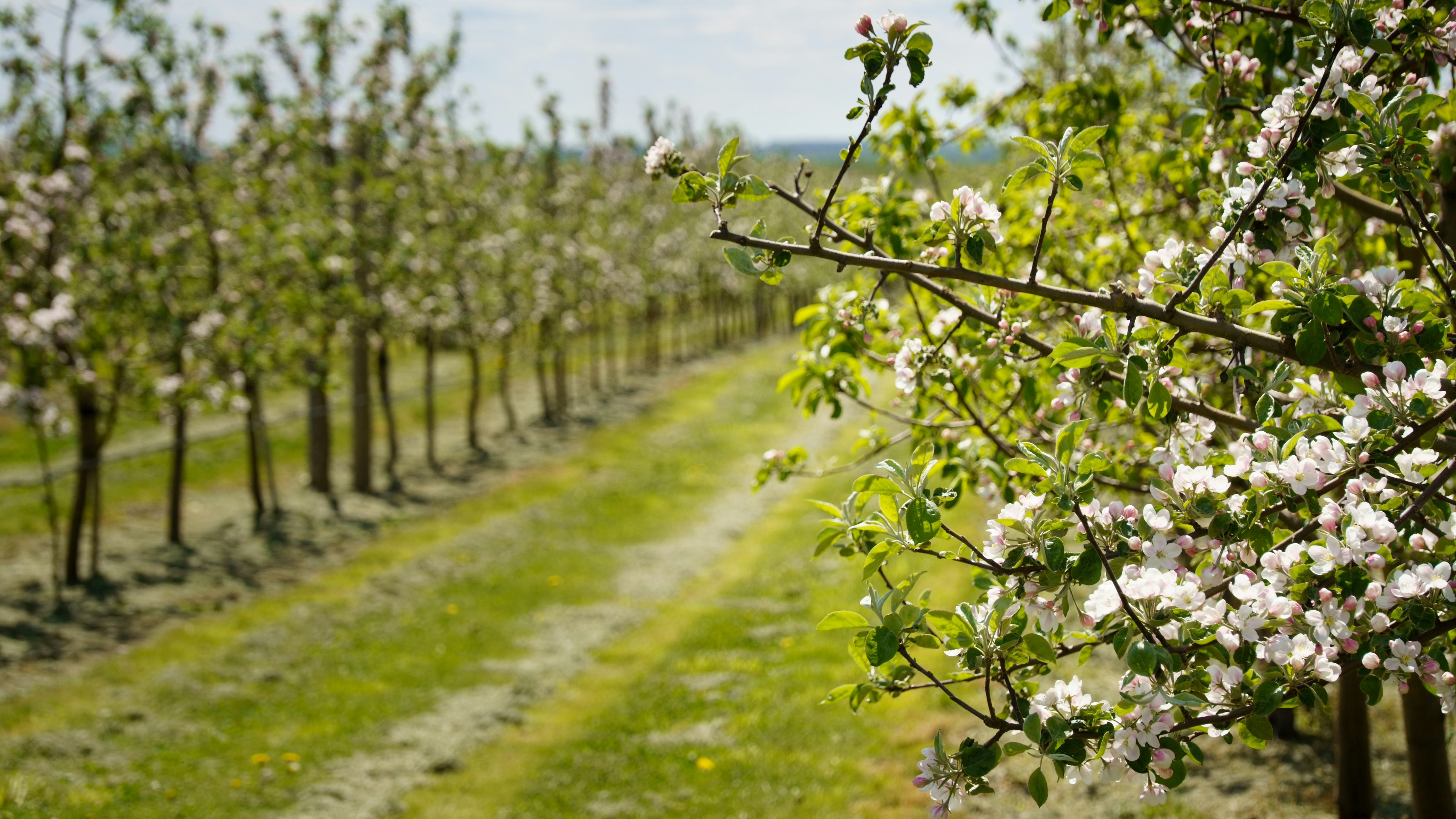 Photo by lipetskaya_zemlya