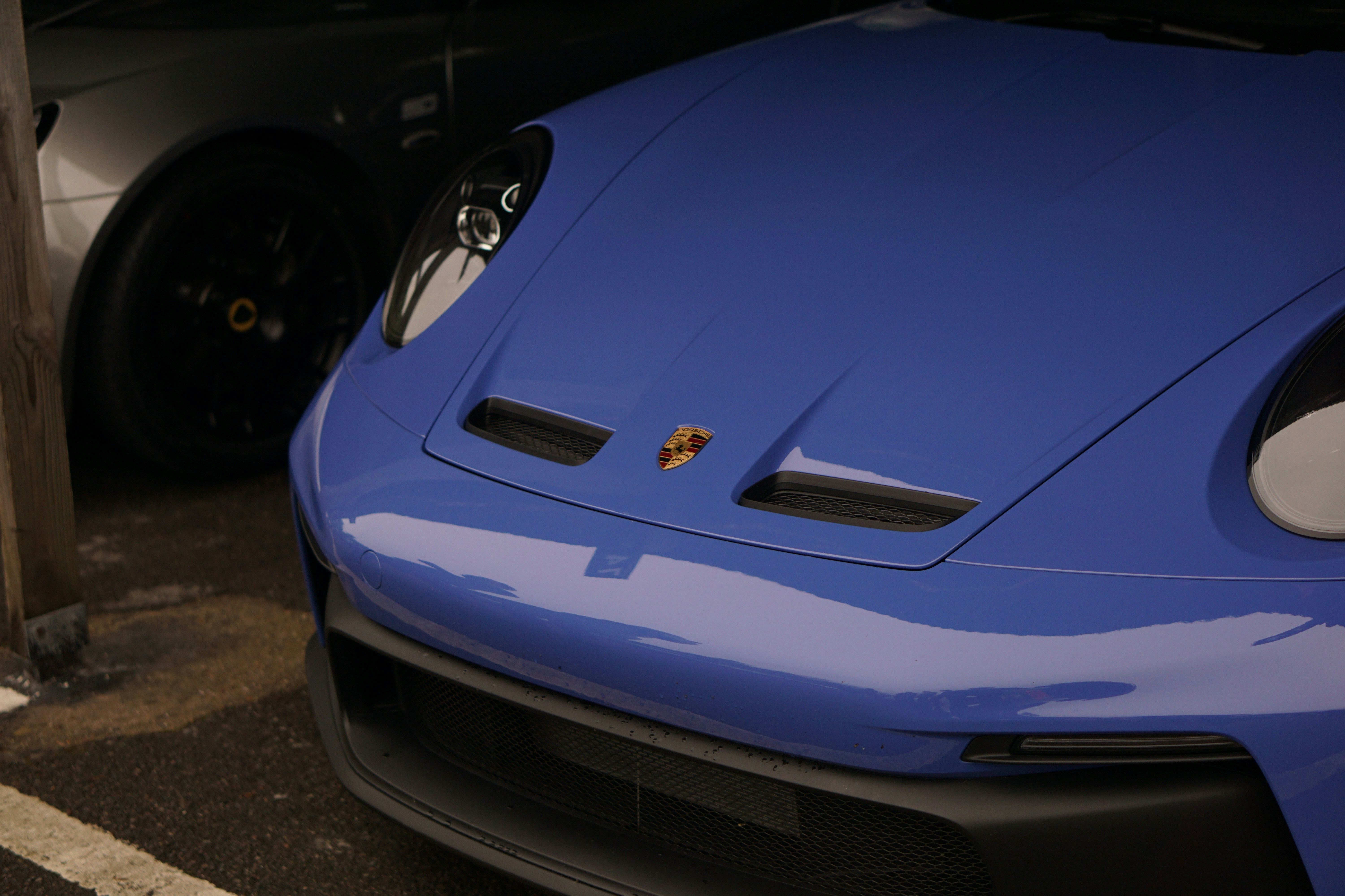 Photo by luca_capron