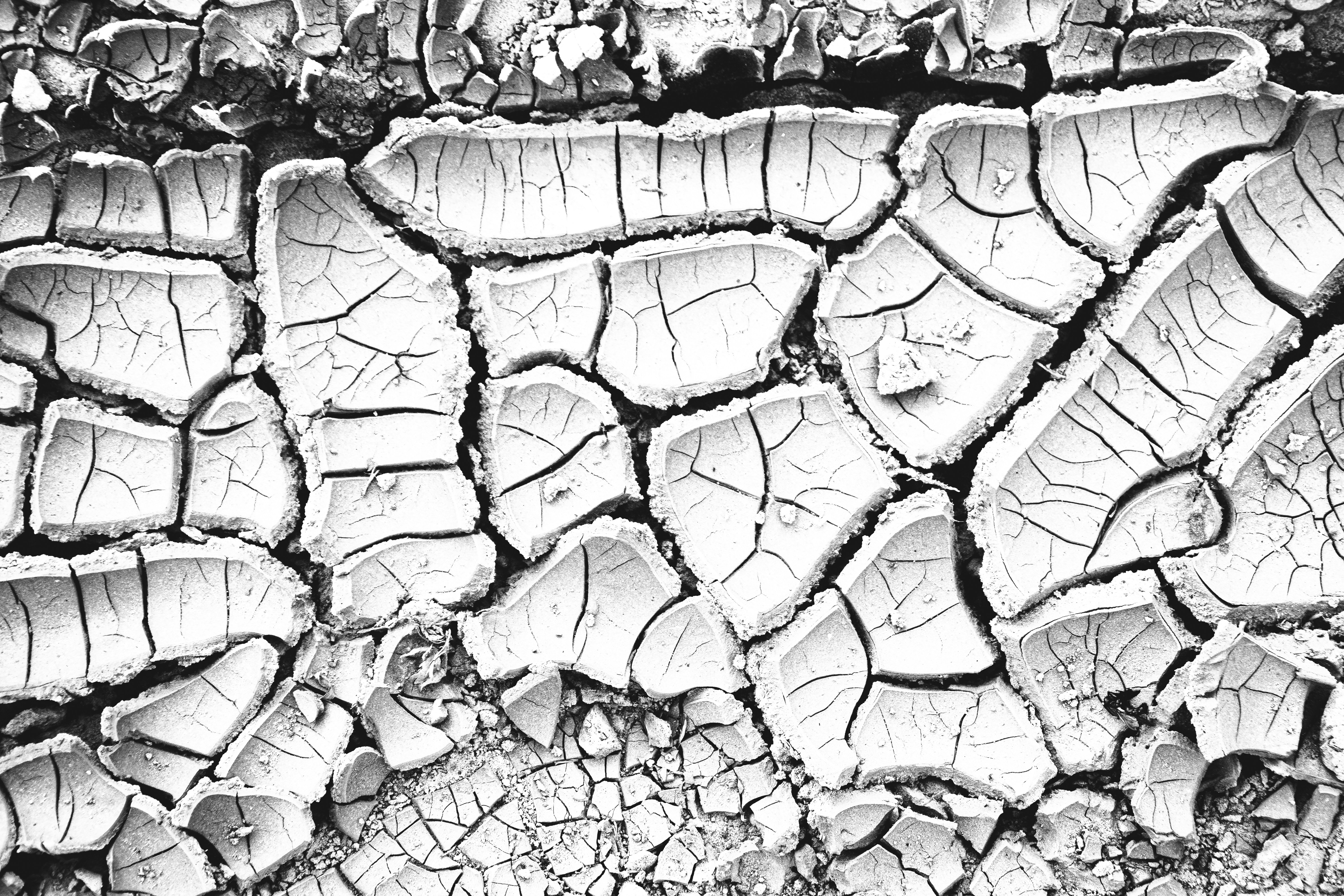 Photo by dominikklos