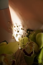 A close-up of delicate white and light green orchids with soft lighting creating a gentle glow. The background consists of soft pink and beige hues, contributing to a warm, serene ambiance. Fine stems with small white blooms weave through the larger orchid petals.