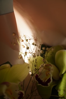 A close-up of delicate white and light green orchids with soft lighting creating a gentle glow. The background consists of soft pink and beige hues, contributing to a warm, serene ambiance. Fine stems with small white blooms weave through the larger orchid petals.