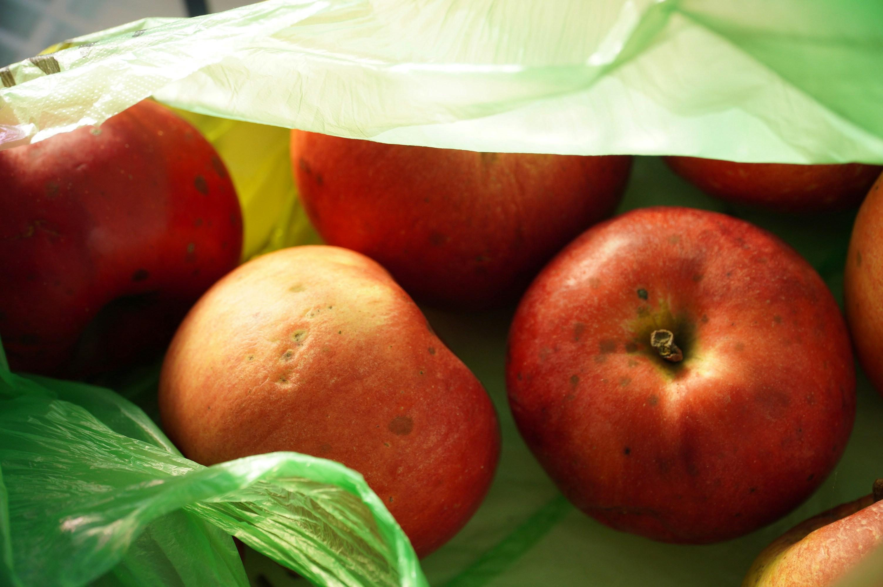 Red apples in a green plastic bag