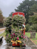 A charming red telephone booth framed by blooming flowers on a sunny day