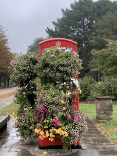 A charming red telephone booth framed by blooming flowers on a sunny day.