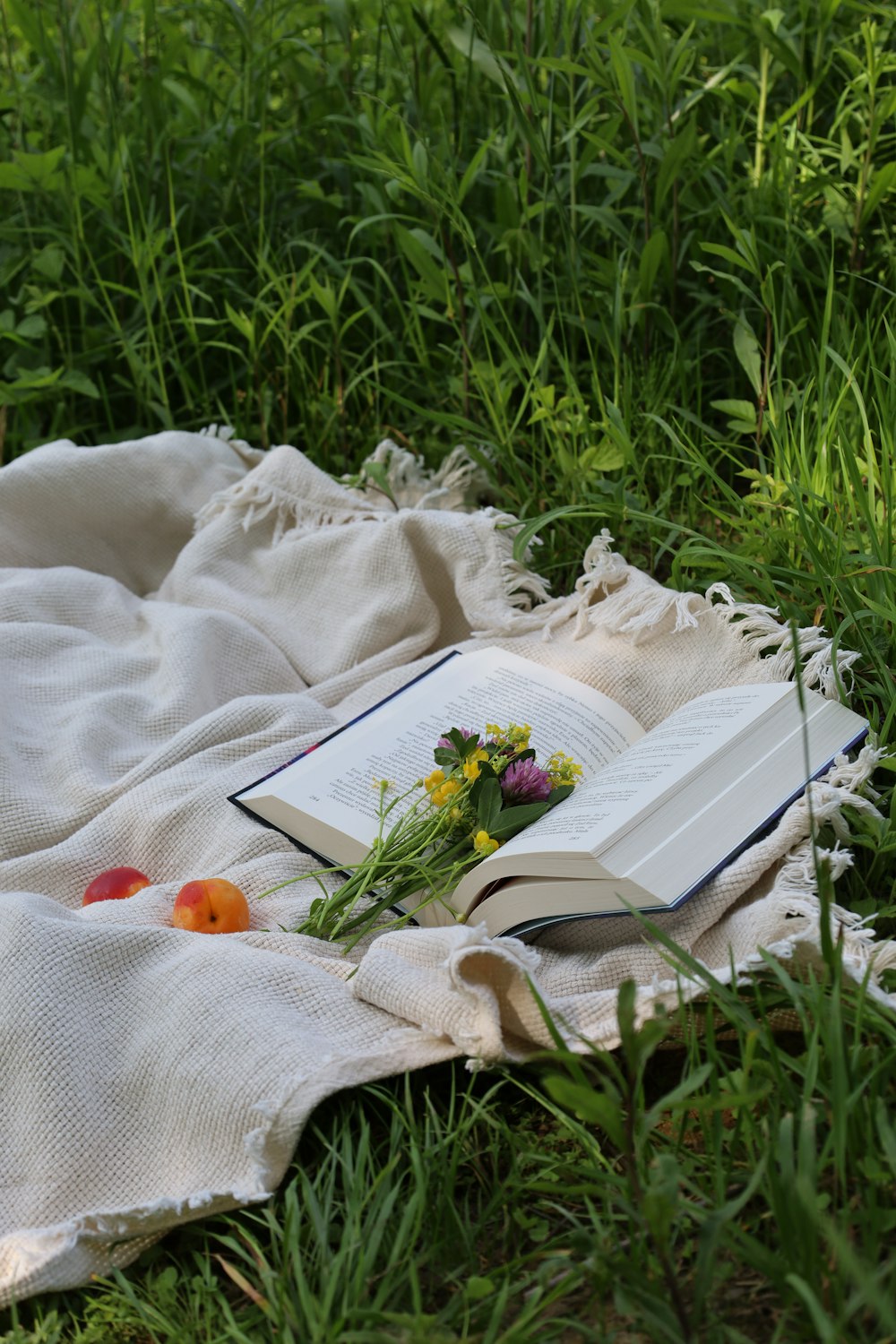 an open book on a blanket in the grass