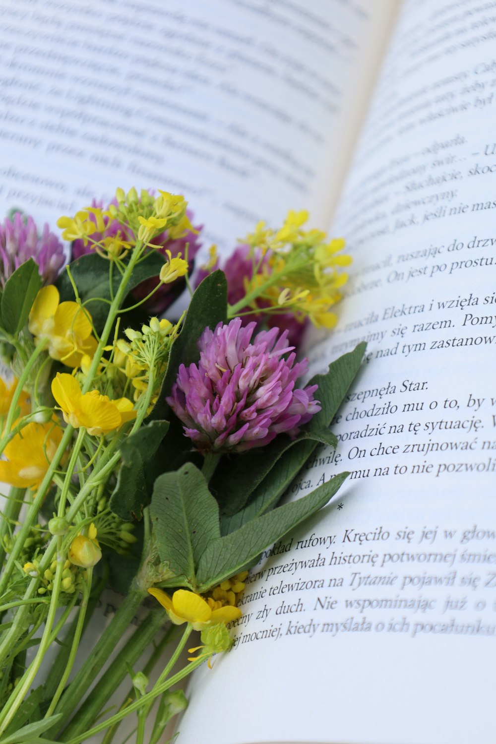 a bunch of flowers sitting on top of an open book