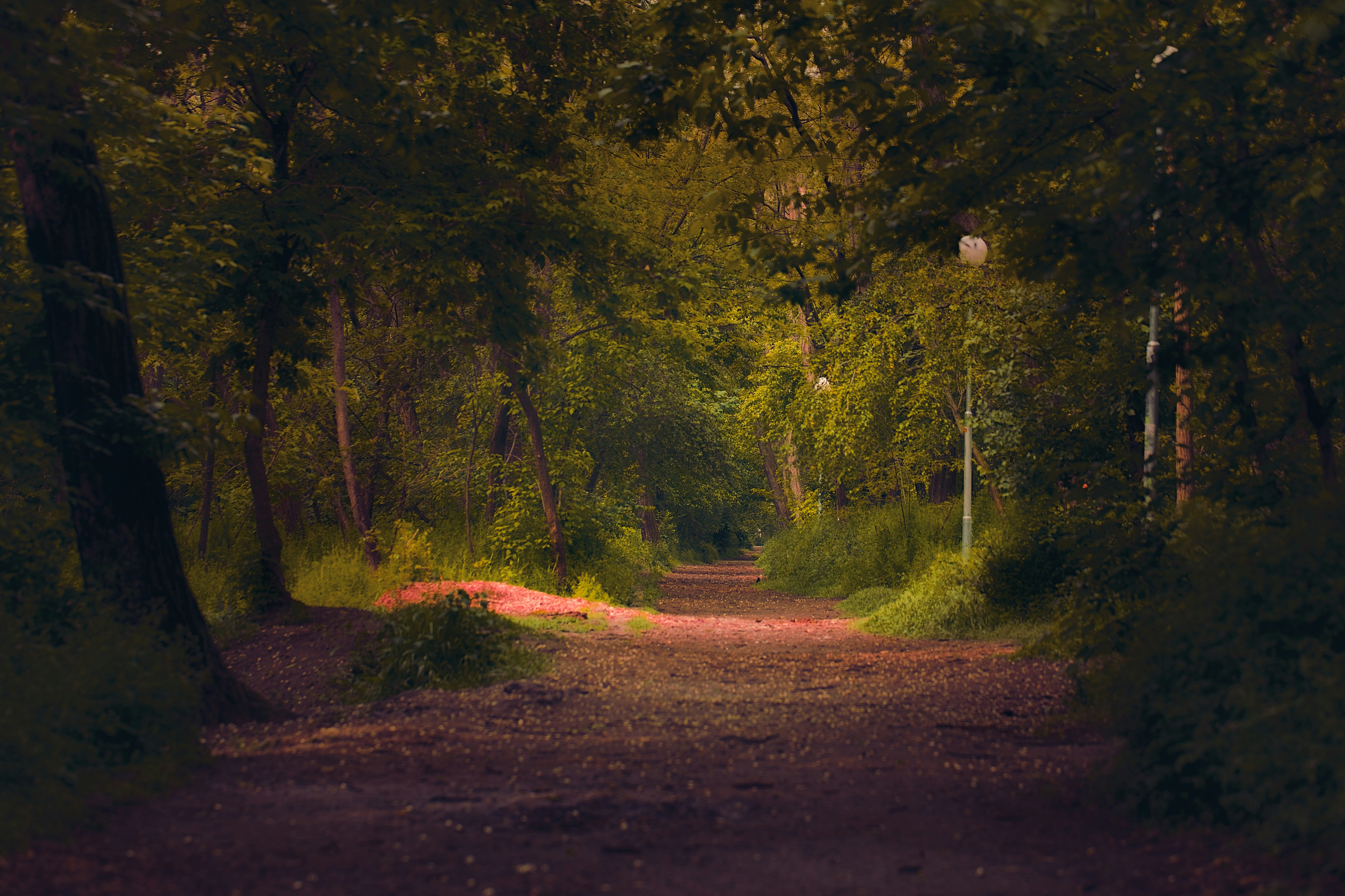 Photo by blooddrainer