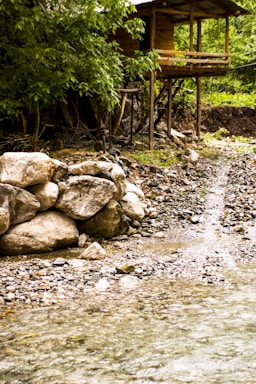 Rustic wooden cabin nestled in lush tropical forest near a clear river.