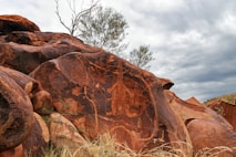 a large rock with a tree on top of it