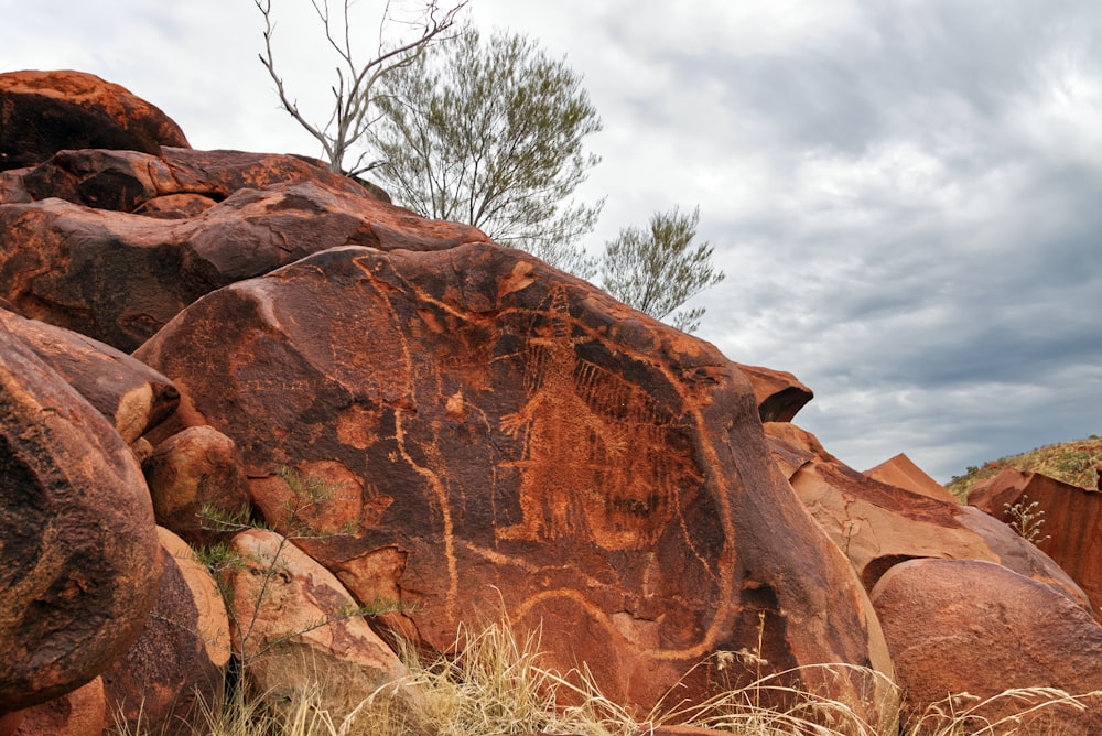 a large rock with a tree on top of it