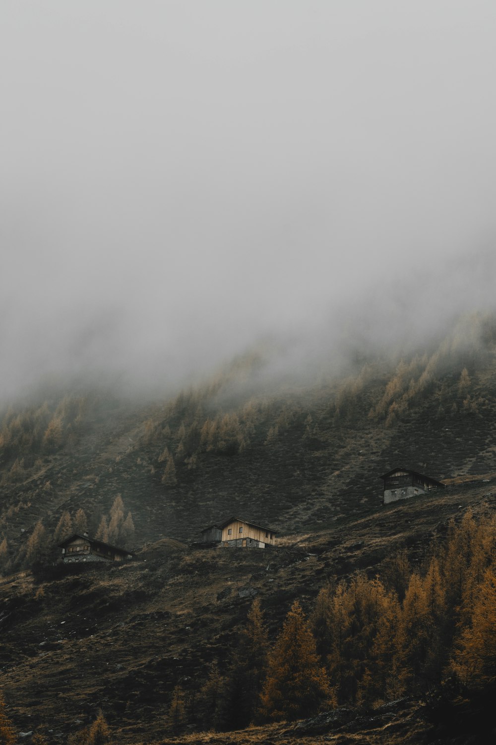 uma colina coberta de nevoeiro com casas sobre ela