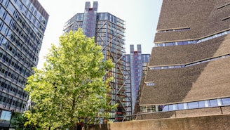 Tall modern buildings with glass facades and unique architectural designs. A large green tree is in the foreground, adding a touch of nature to the urban scene. One building has a distinct brown brick pattern, while the others have steel frameworks and large windows.