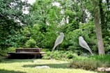 A lush garden scene featuring two large bird sculptures made of wire or metal. The garden is filled with dense greenery and various types of plants, including tall trees and shrubs. In the background, there is a circular water feature with a fountain.