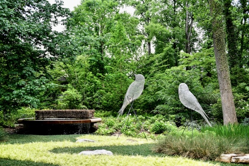A lush garden scene featuring two large bird sculptures made of wire or metal. The garden is filled with dense greenery and various types of plants, including tall trees and shrubs. In the background, there is a circular water feature with a fountain.