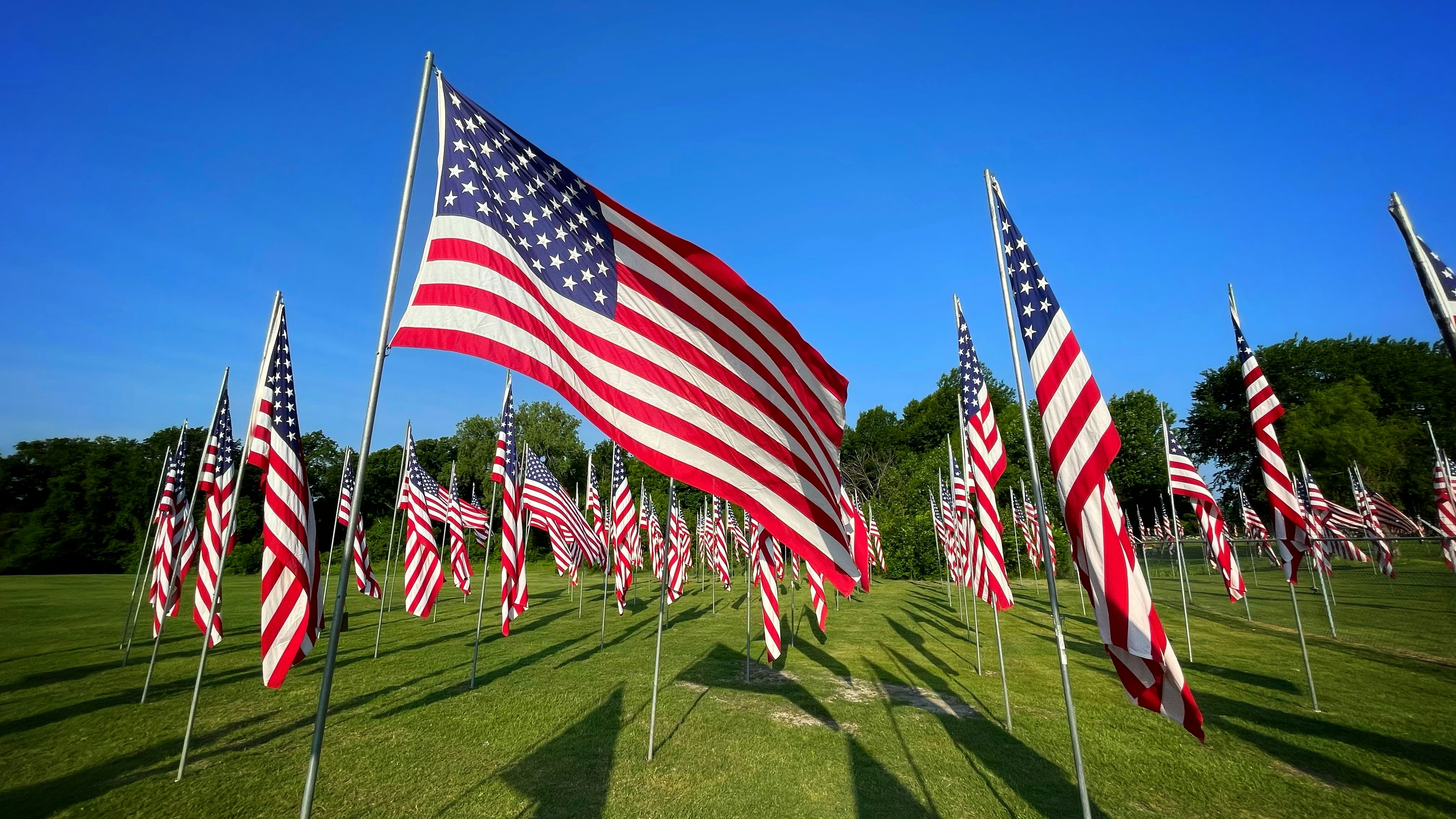 Photo by rocinante_11