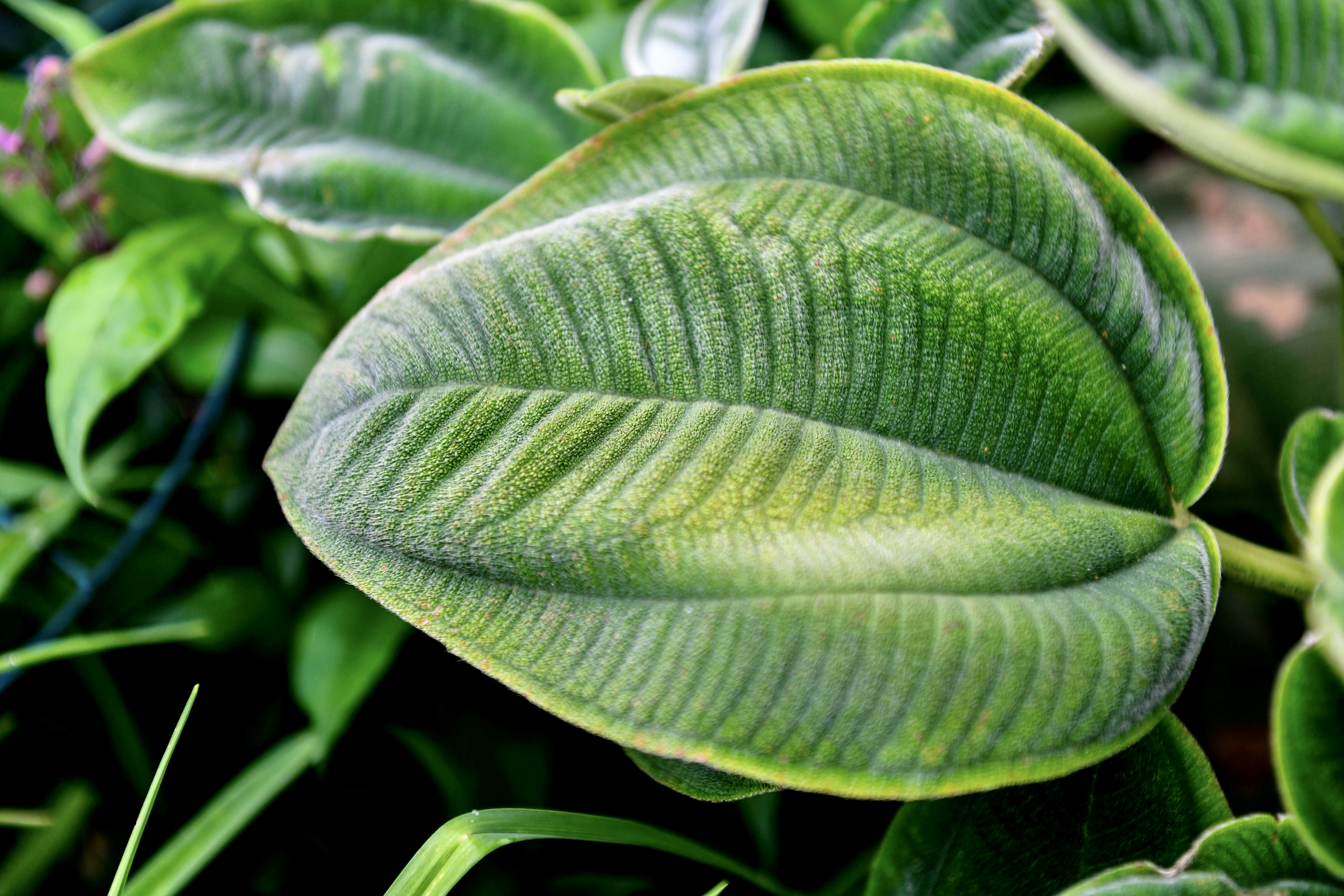 Photo by hlandkammer