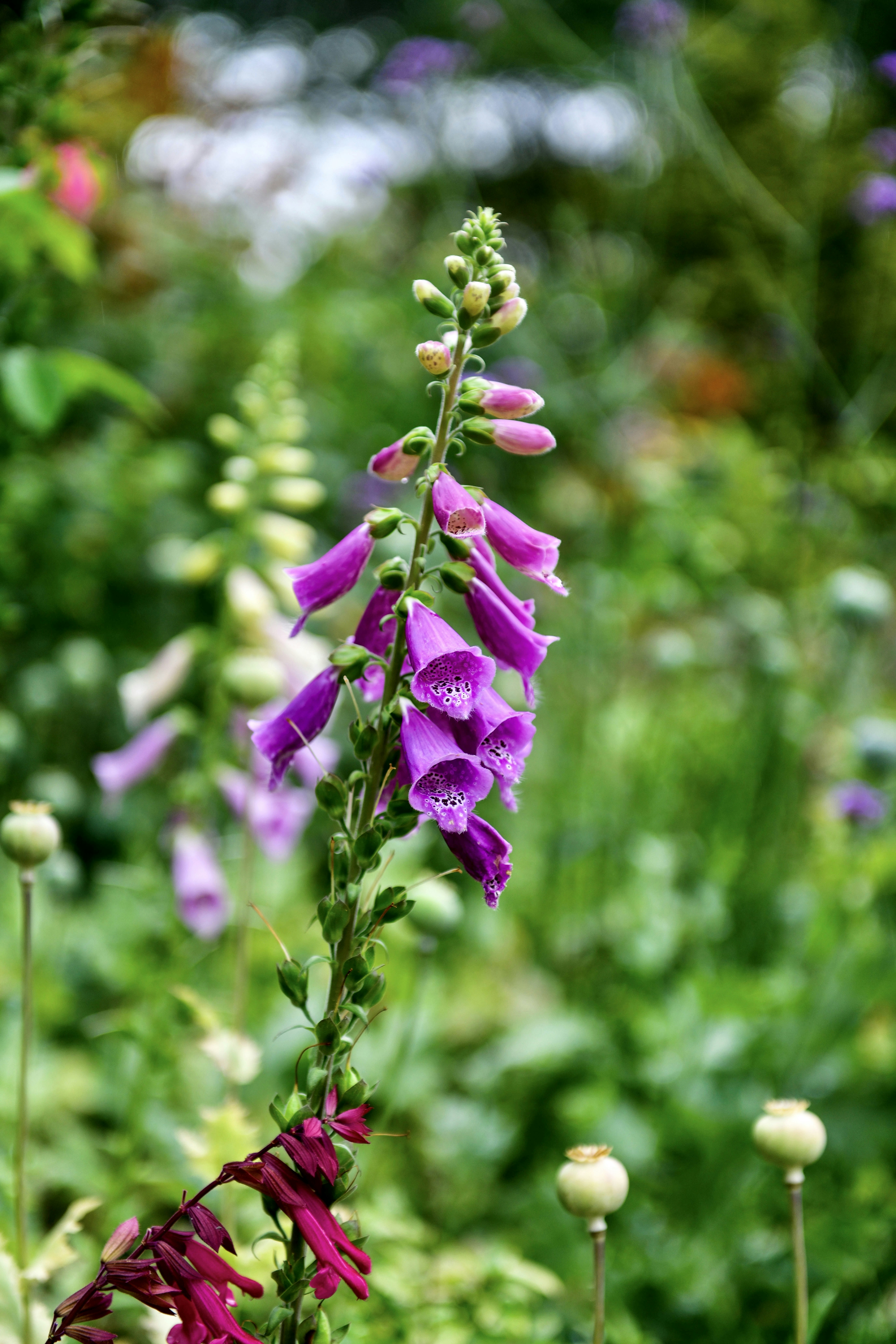 Photo by hlandkammer