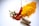 A collection of spices is artfully arranged on a white background. Visible are a red chili pepper, a pile of bright yellow turmeric powder, a smaller pile of orange-red chili powder, green cardamom pods, cloves, and cinnamon sticks.